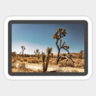 Joshua Tree National Park, California Sticker